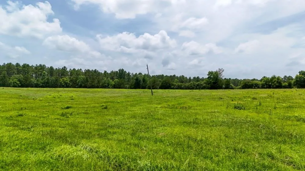 Cr 2780 Colmesneil, TX 75938