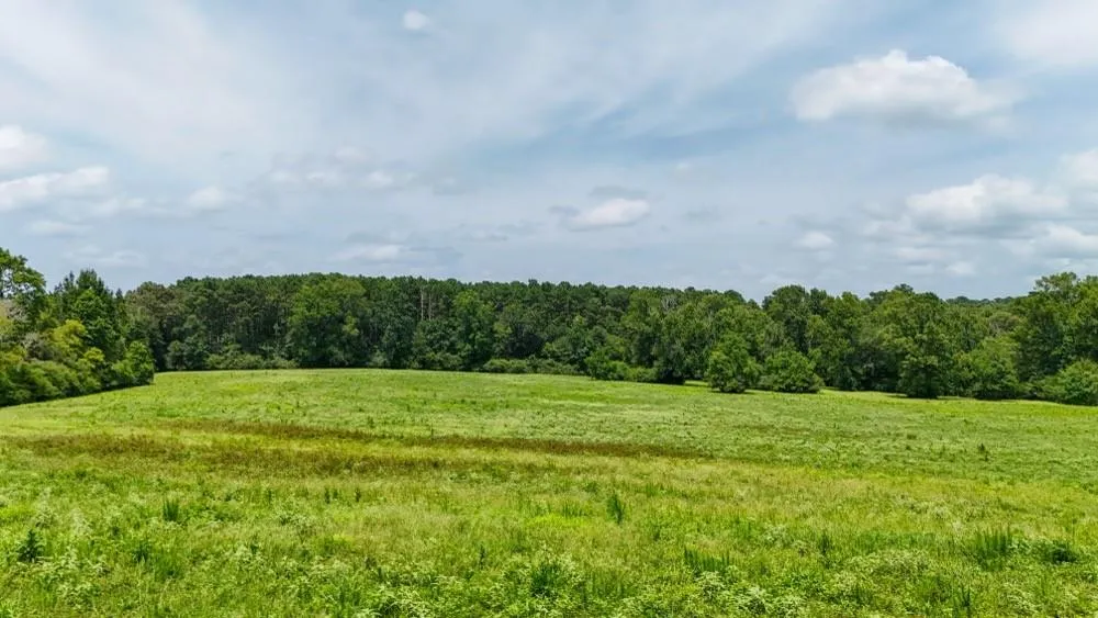 Cr 2780 Colmesneil, TX 75938