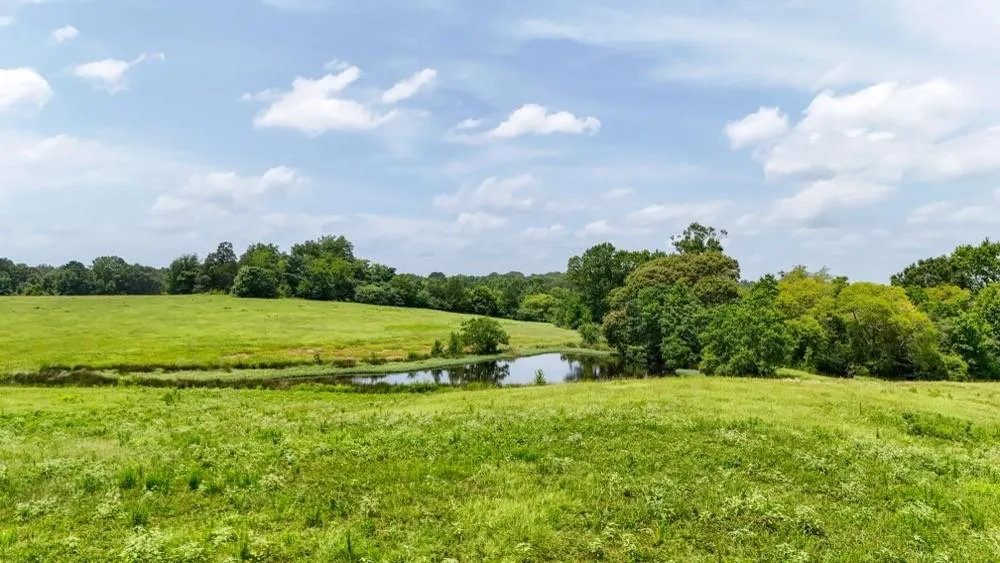 Cr 2780 Colmesneil, TX 75938