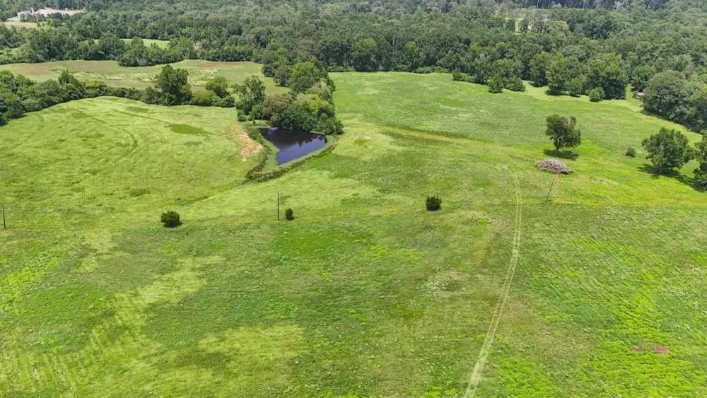 Cr 2780 Colmesneil, TX 75938