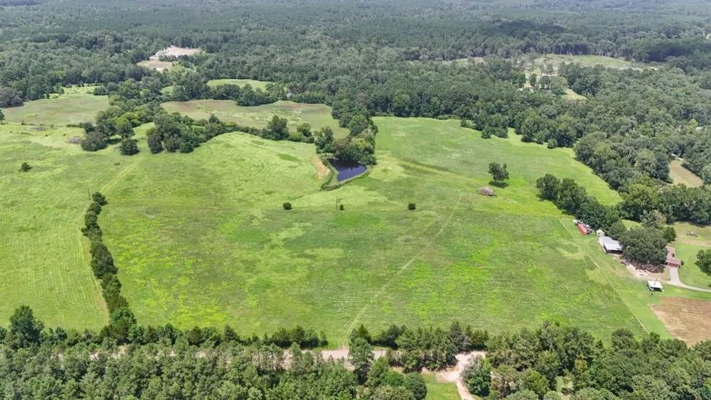 Cr 2780 Colmesneil, TX 75938