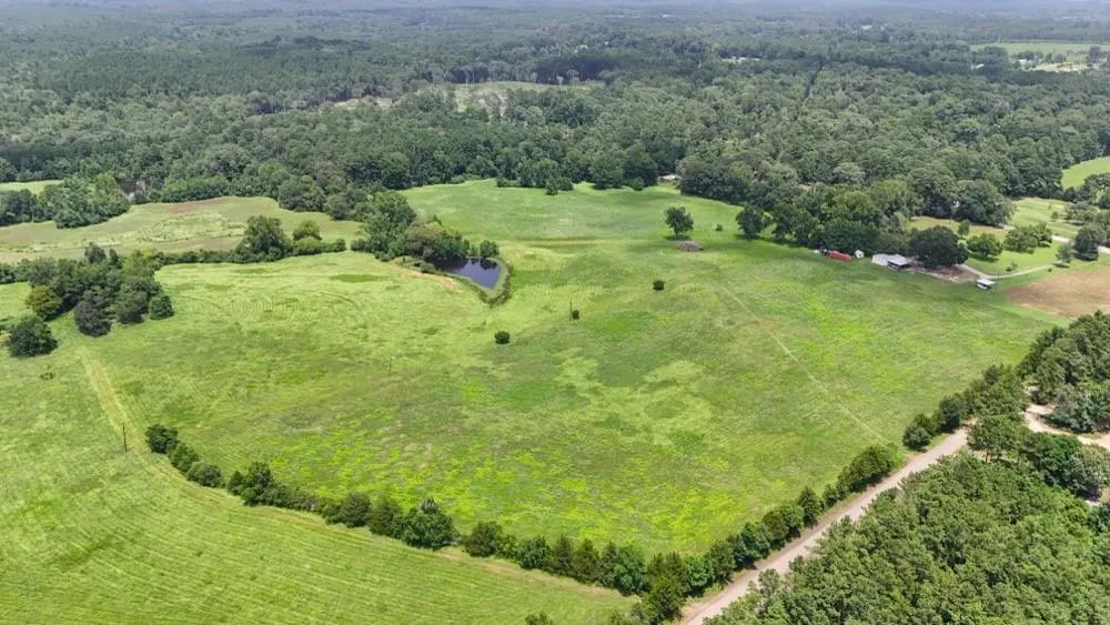 Cr 2780 Colmesneil, TX 75938