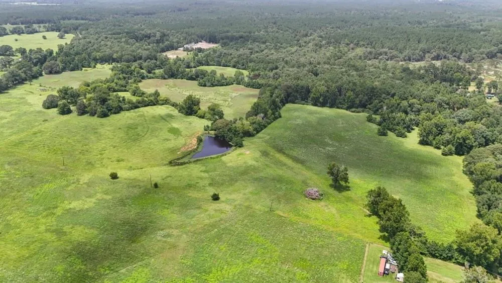 Cr 2780 Colmesneil, TX 75938
