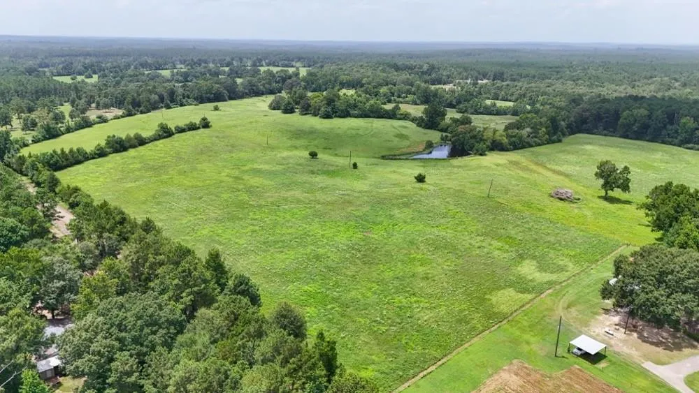 Cr 2780 Colmesneil, TX 75938