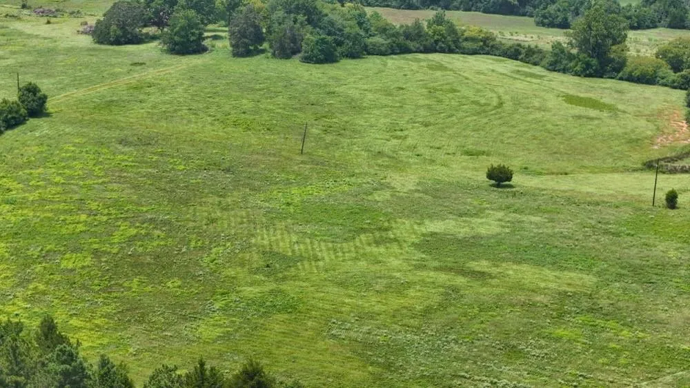 Cr 2780 Colmesneil, TX 75938
