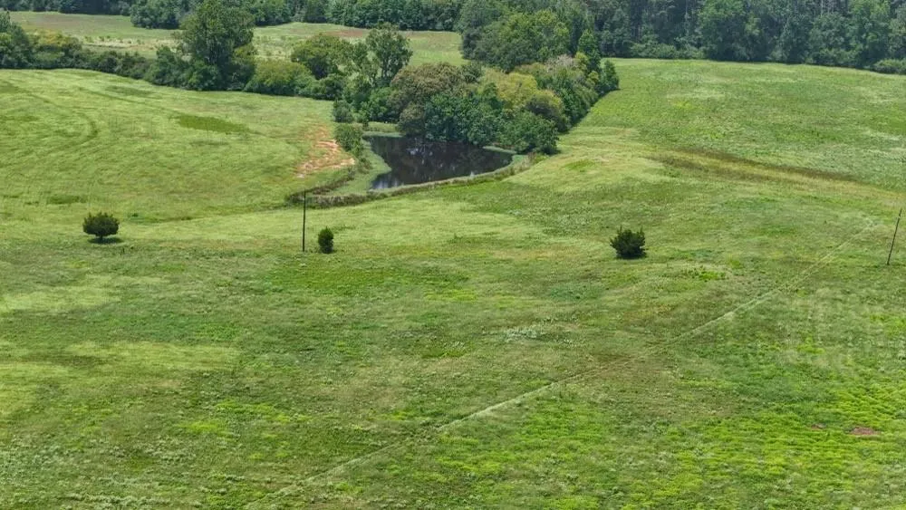 Cr 2780 Colmesneil, TX 75938