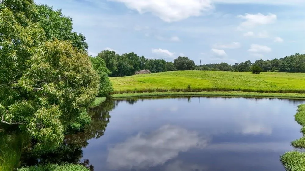 Cr 2780 Colmesneil, TX 75938