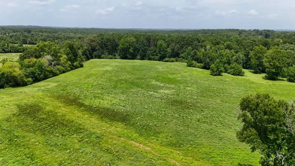 Cr 2780 Colmesneil, TX 75938