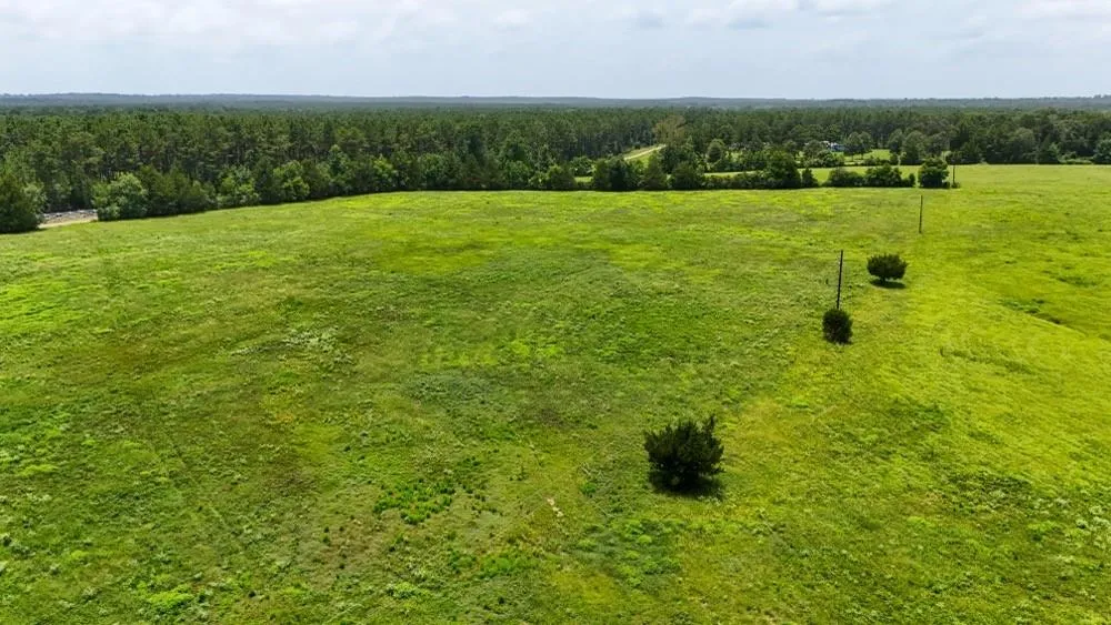 Cr 2780 Colmesneil, TX 75938