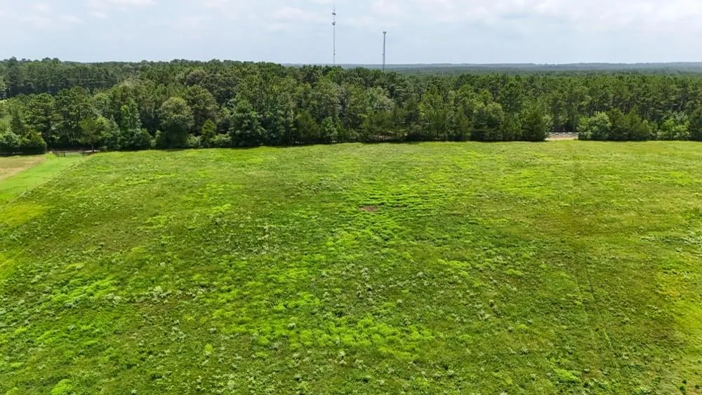 Cr 2780 Colmesneil, TX 75938
