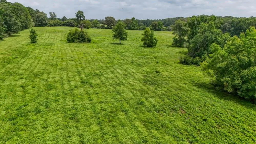 4 County Road 2780 Woodville, TX 75979