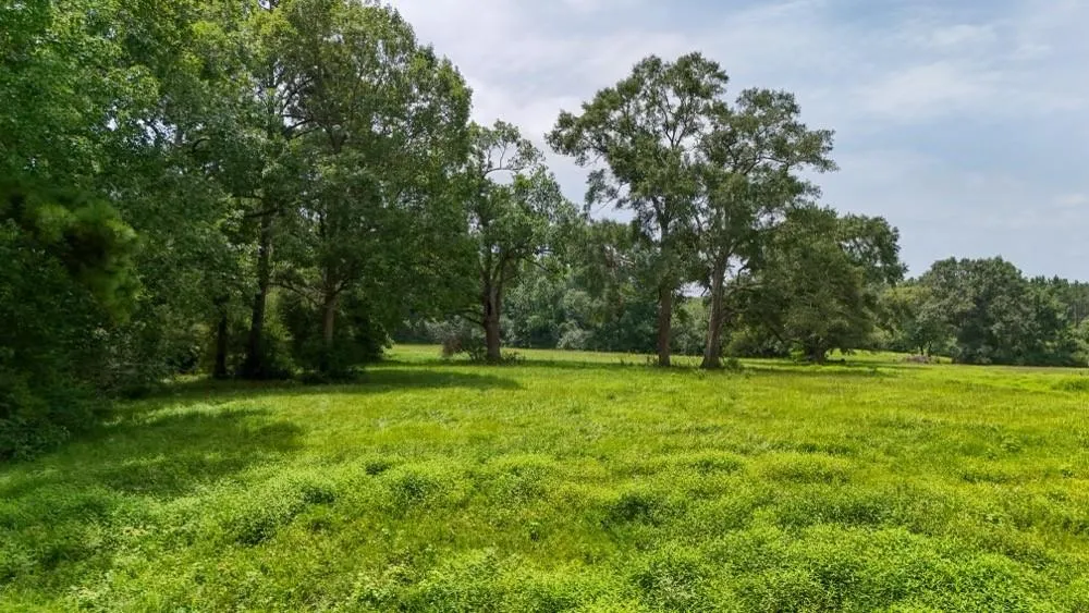4 County Road 2780 Woodville, TX 75979