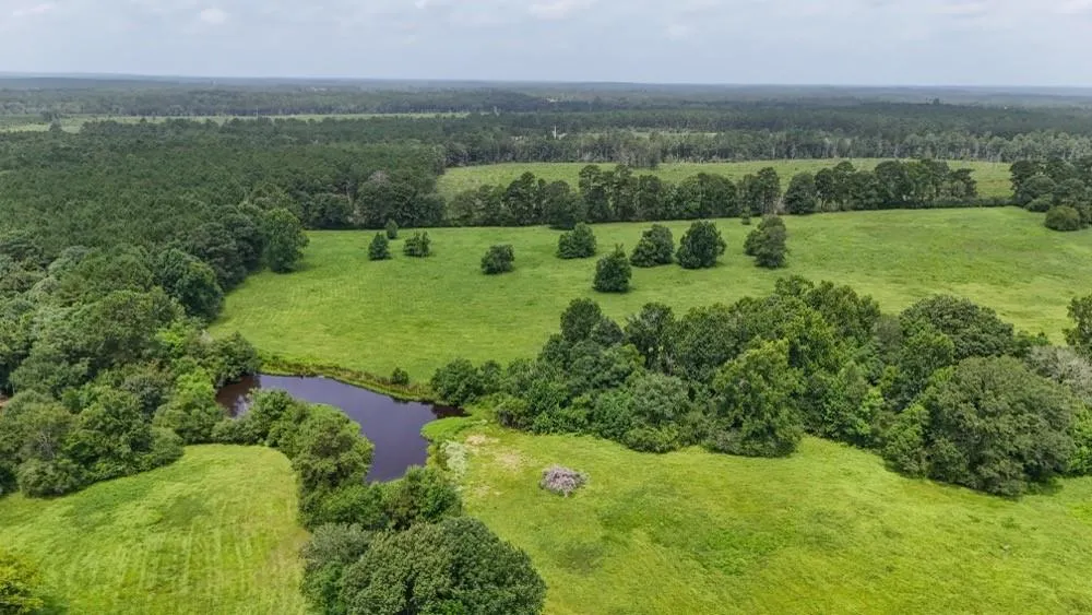 4 County Road 2780 Woodville, TX 75979