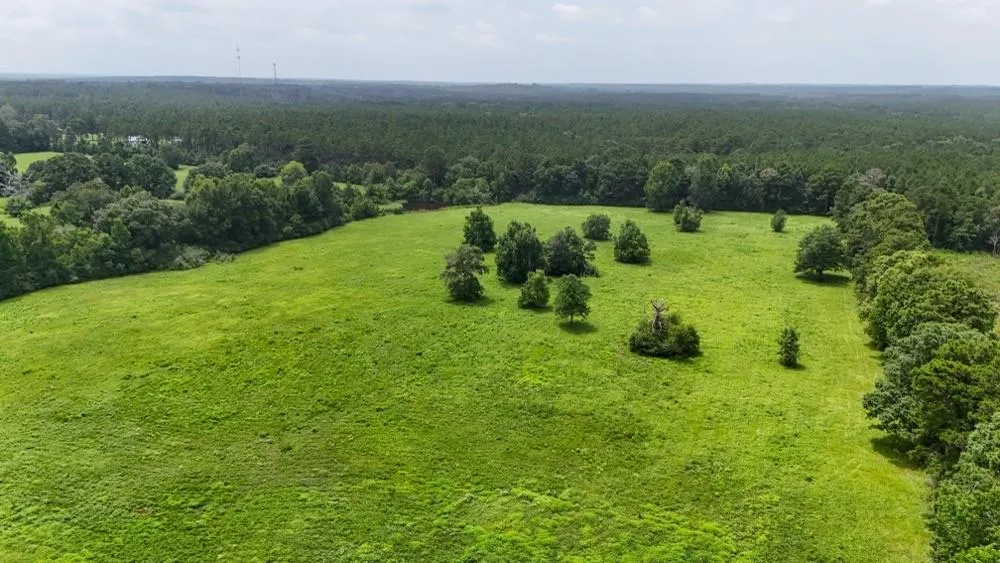 4 County Road 2780 Woodville, TX 75979