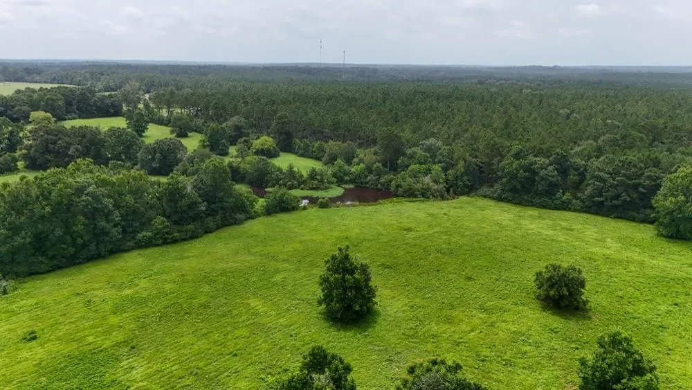 4 County Road 2780 Woodville, TX 75979
