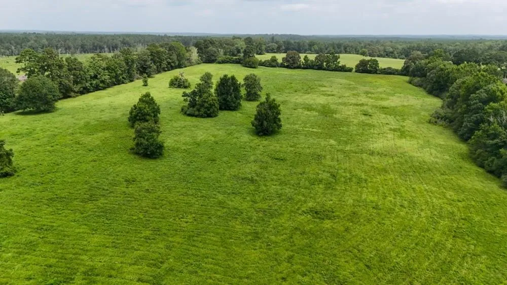 4 County Road 2780 Woodville, TX 75979