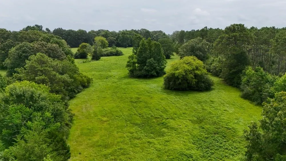 4 County Road 2780 Woodville, TX 75979