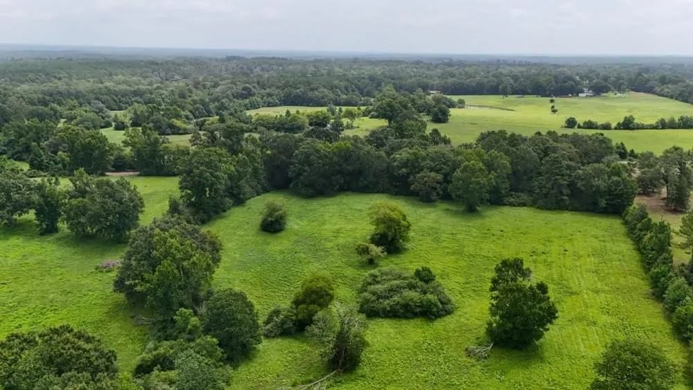 4 County Road 2780 Woodville, TX 75979