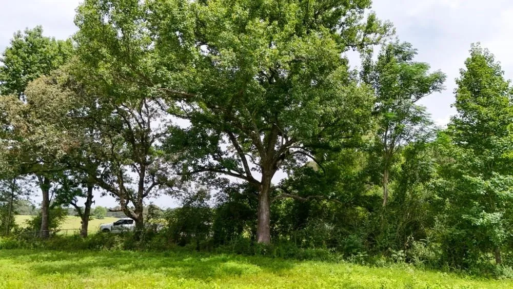 4 County Road 2780 Woodville, TX 75979