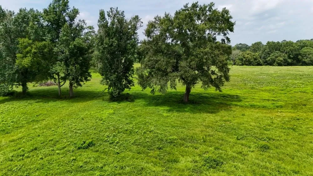 4 County Road 2780 Woodville, TX 75979