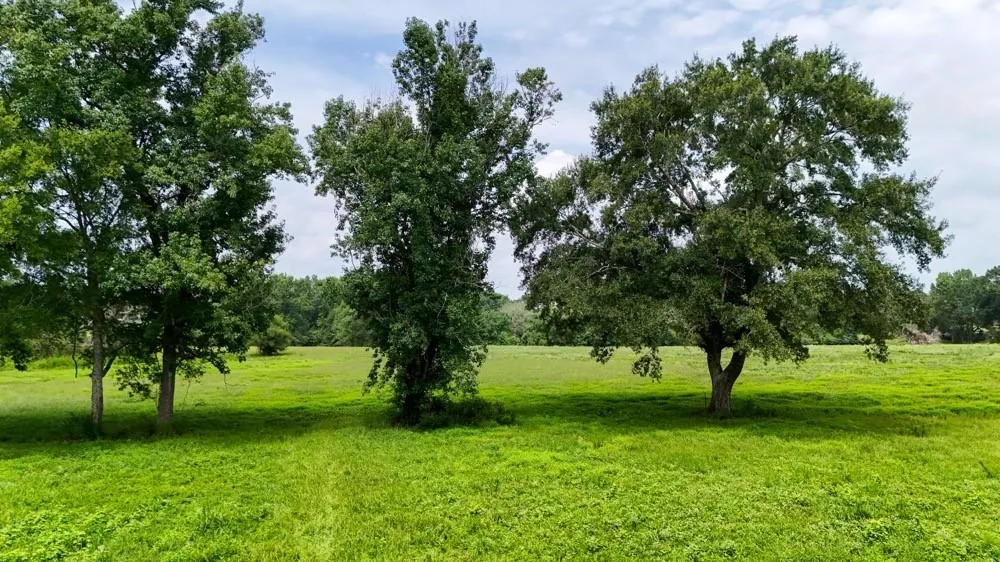 4 County Road 2780 Woodville, TX 75979