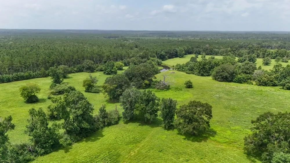 4 County Road 2780 Woodville, TX 75979