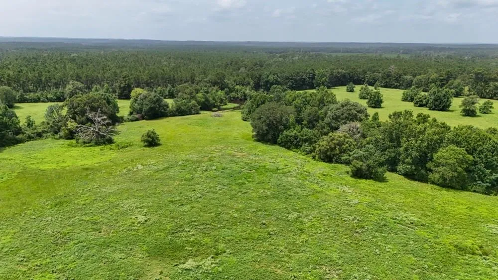 4 County Road 2780 Woodville, TX 75979