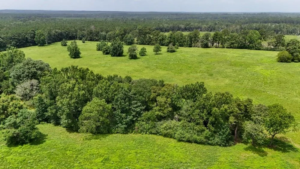 4 County Road 2780 Woodville, TX 75979
