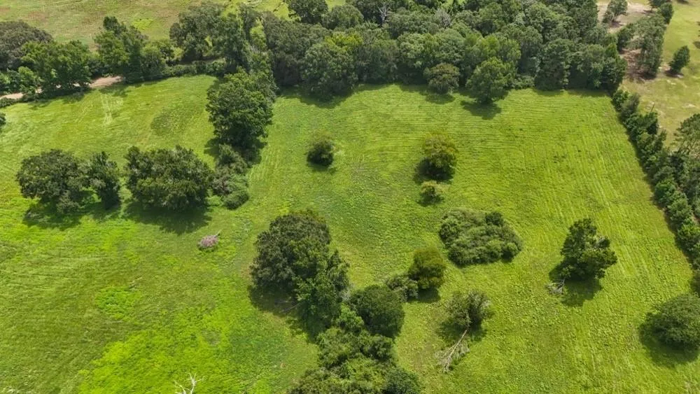 4 County Road 2780 Woodville, TX 75979