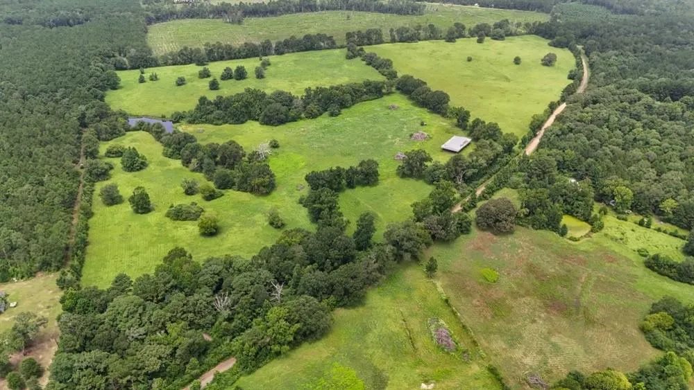4 County Road 2780 Woodville, TX 75979