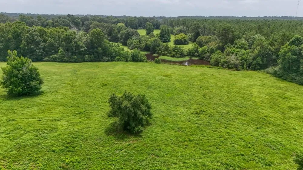 4 County Road 2780 Woodville, TX 75979