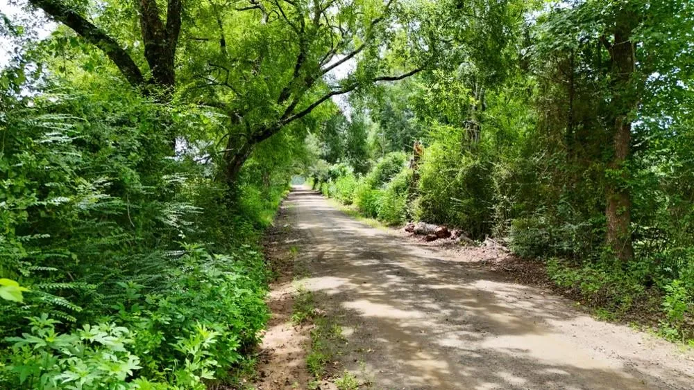 4 County Road 2780 Woodville, TX 75979