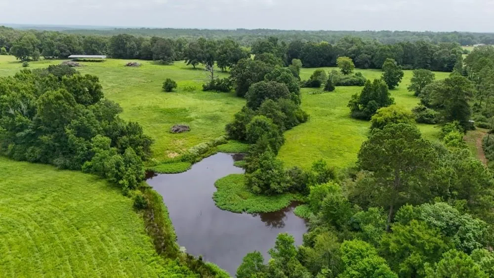 4 County Road 2780 Woodville, TX 75979