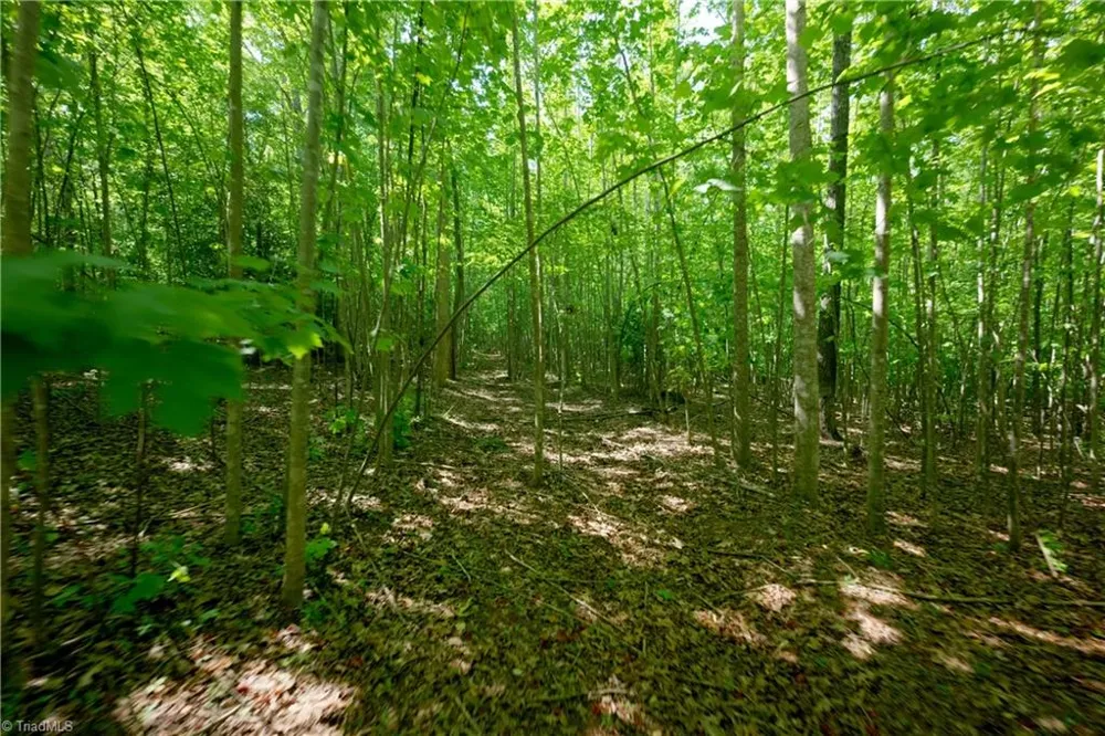 0 Tesh Road Germanton, NC 27019