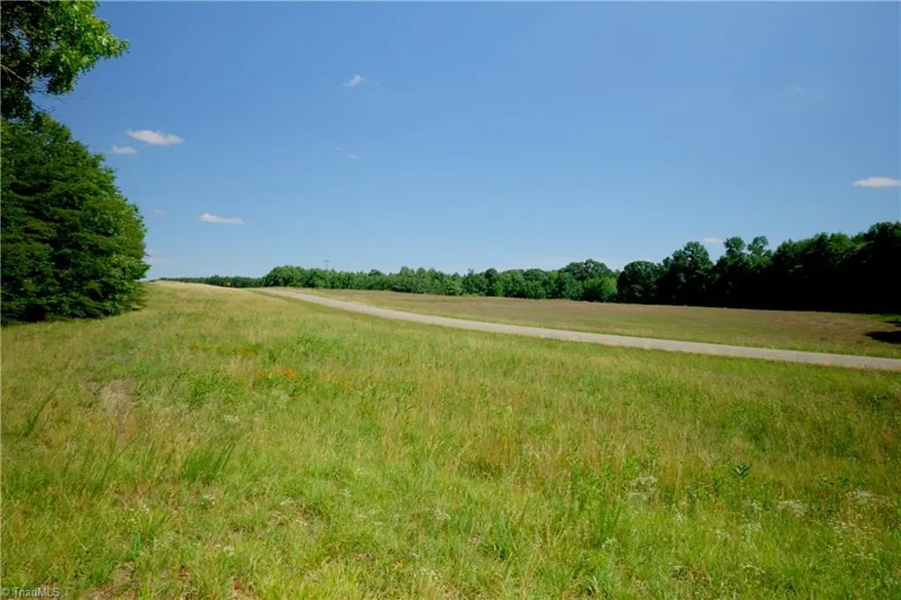0 Tesh Road Germanton, NC 27019