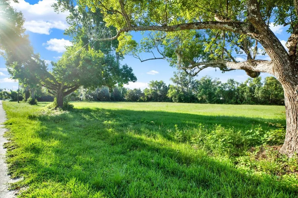4TH AVENUE #LOT 11 San Antonio, FL 33576