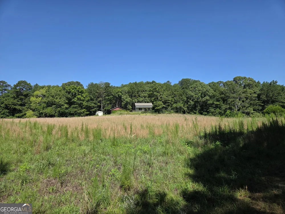 0 Millen RD Monticello, GA 31064