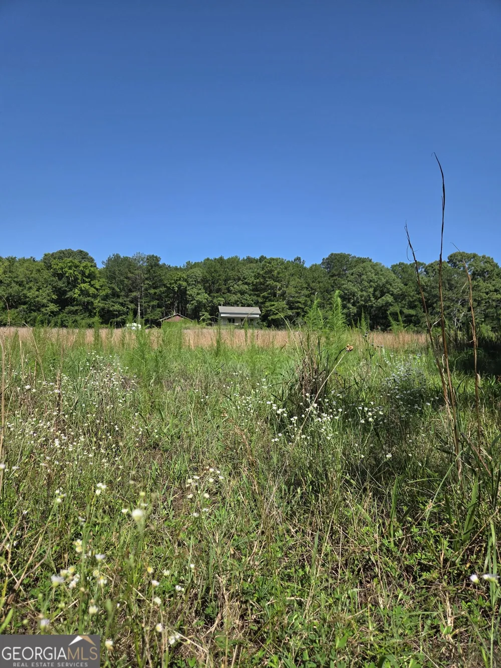 0 Millen RD Monticello, GA 31064