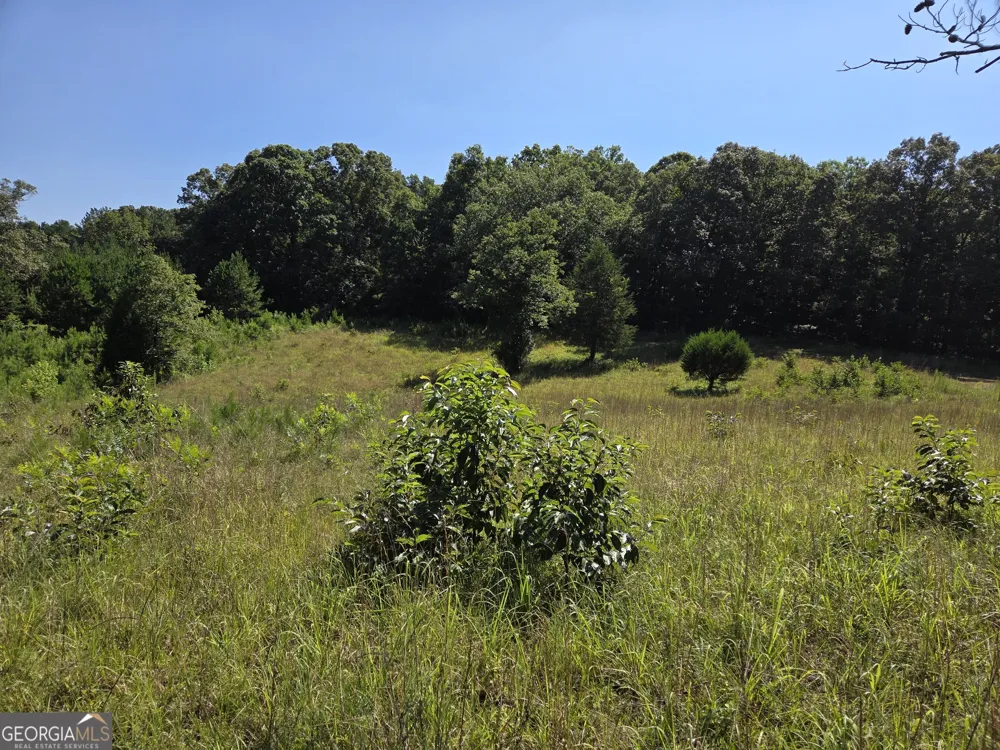 0 Millen RD Monticello, GA 31064