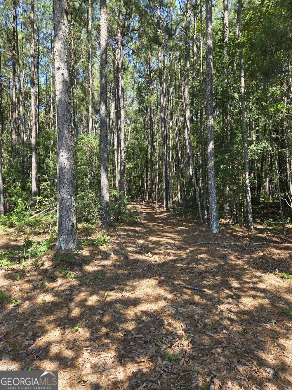 0 Millen RD Monticello, GA 31064