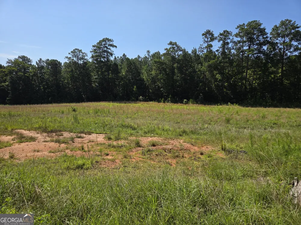 0 Millen RD Monticello, GA 31064