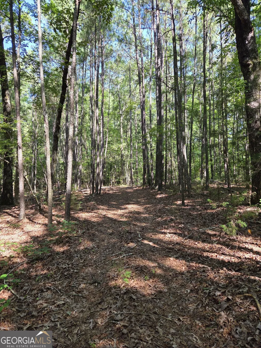 0 Millen RD Monticello, GA 31064