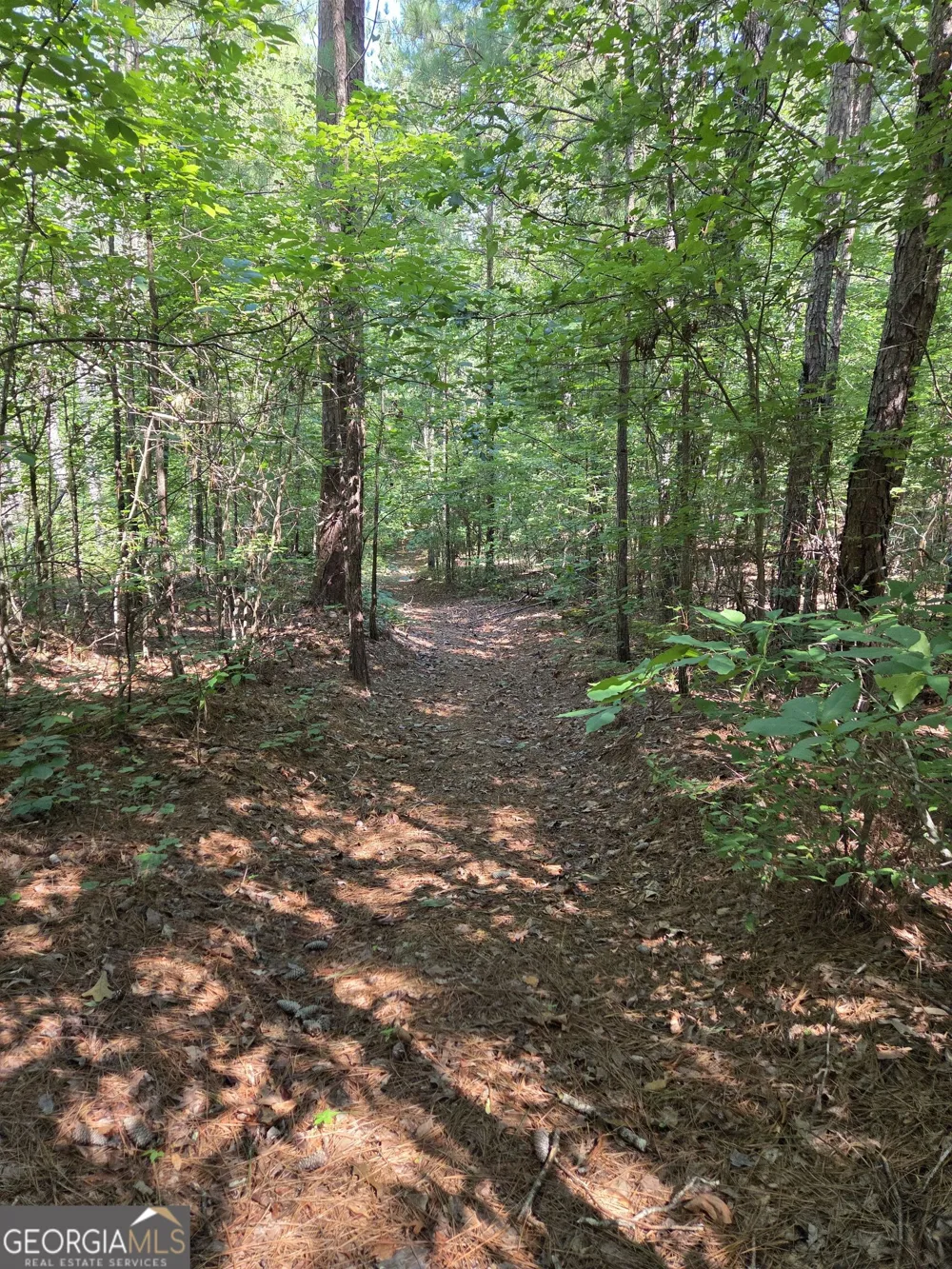 0 Millen RD Monticello, GA 31064