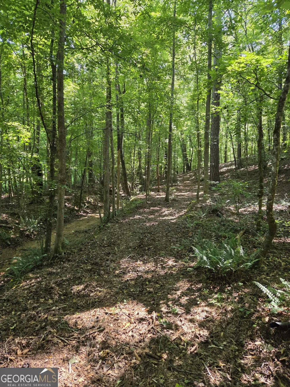 0 Millen RD Monticello, GA 31064