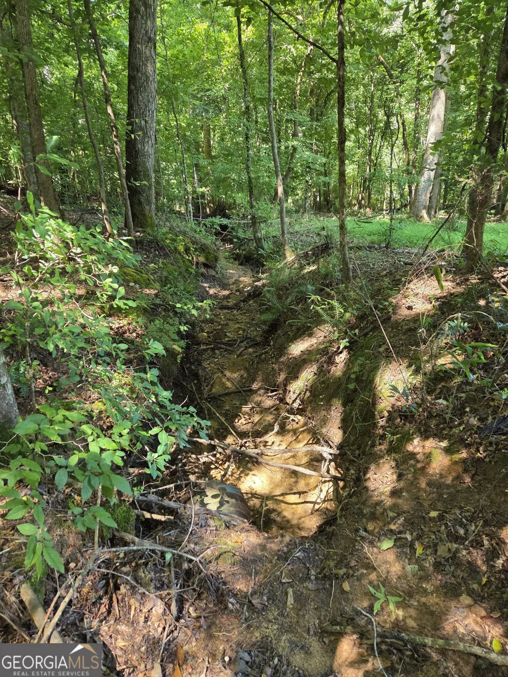 0 Millen RD Monticello, GA 31064