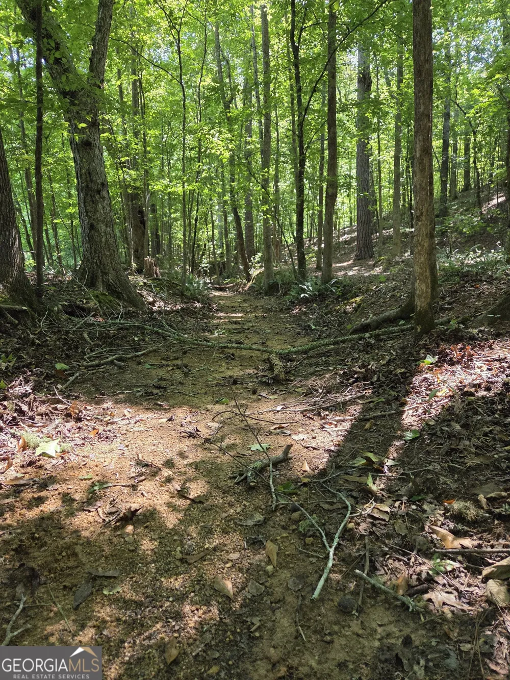 0 Millen RD Monticello, GA 31064
