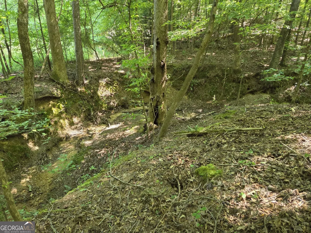 0 Millen RD Monticello, GA 31064