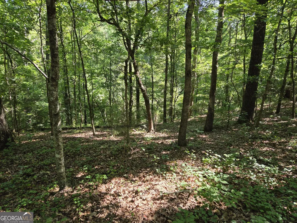 0 Millen RD Monticello, GA 31064