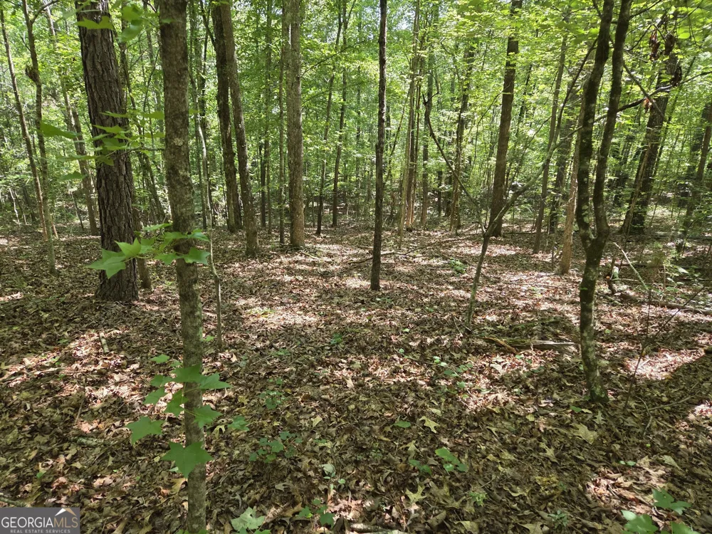 0 Millen RD Monticello, GA 31064