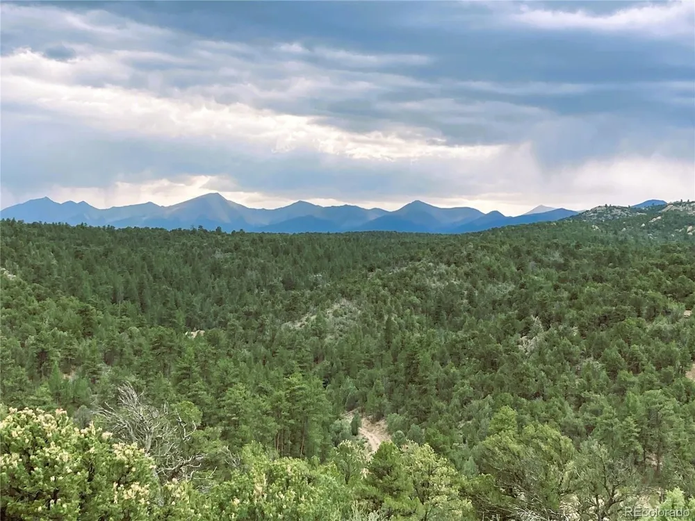 1209 Coyote Run Cotopaxi, CO 81223